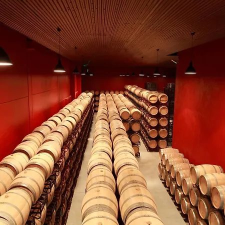 Bodegas Traslascuestas - Grupo Pierola Hotel Valcavado de Roa