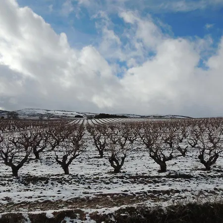 فندق Bodegas Traslascuestas - Grupo Pierola Valcavado de Roa