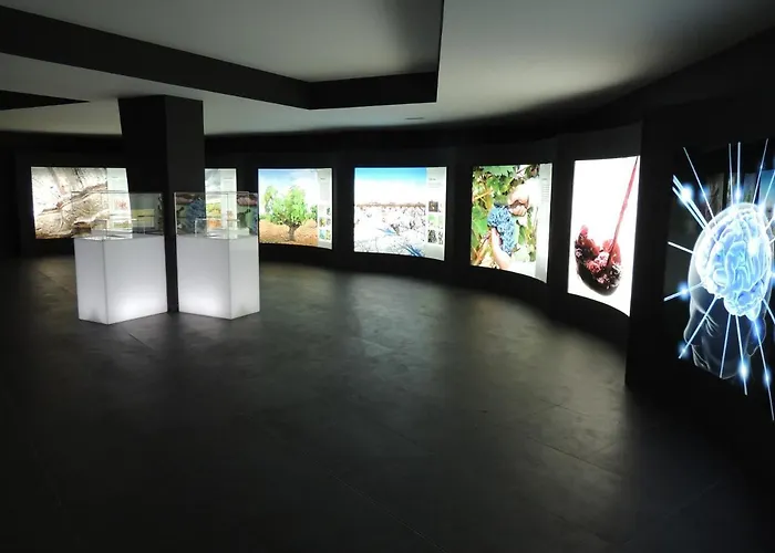 Bodegas Traslascuestas Hotel