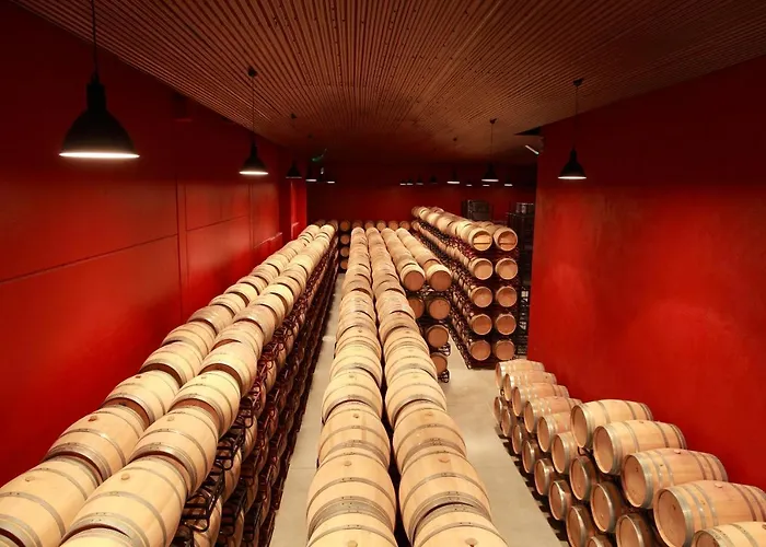 Bodegas Traslascuestas Hotel Valcavado de Roa