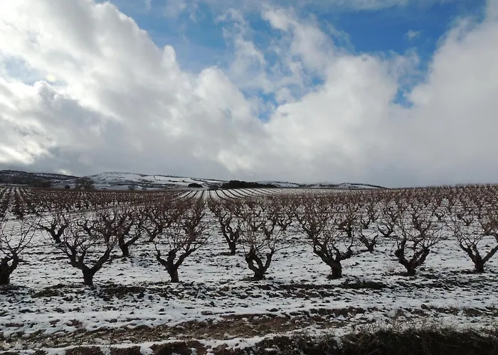 Hotel Bodegas Traslascuestas Valcavado de Roa